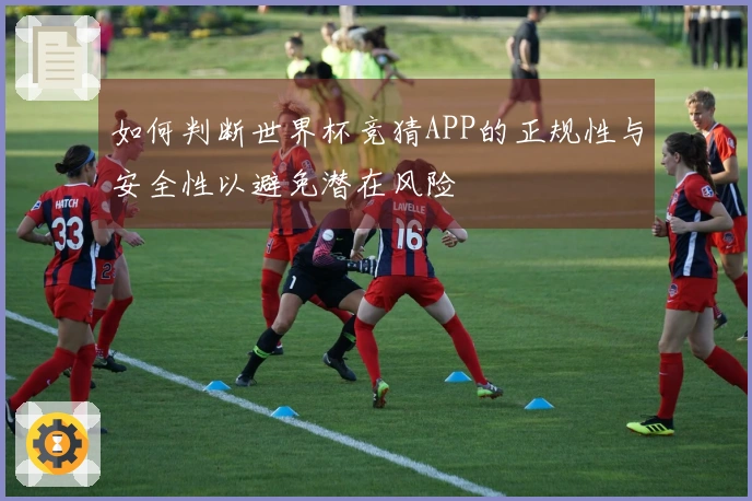如何判断世界杯竞猜APP的正规性与安全性以避免潜在风险