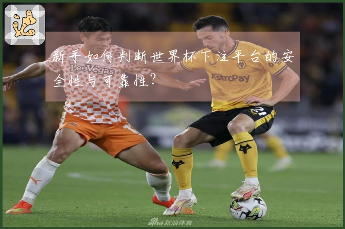 新手如何判断世界杯下注平台的安全性与可靠性？