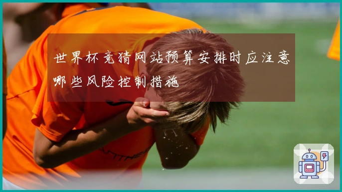 世界杯竞猜网站预算安排时应注意哪些风险控制措施