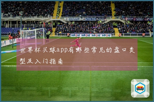 世界杯买球app有哪些常见的盘口类型及入门指南